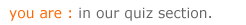 quiz section