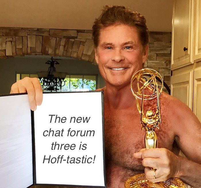 david hasselhoff