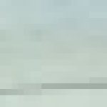 Profile picture of Aruni812