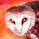 Profile picture of zengili