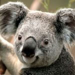 Profile picture of Mck_1990