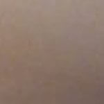 Profile picture of tdog