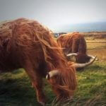 Profile picture of Alex1