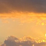 Profile picture of salahealer@gmail.com