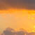 Profile picture of salahealer@gmail.com