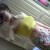 Profile picture of chantelle22