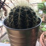 Profile picture of booths