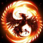 Profile picture of DarkPhoenix