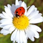 Profile picture of Lottie