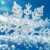 Profile picture of snowy