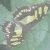 Profile picture of f_50_kind_caring