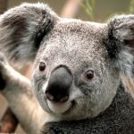 Profile picture of adam789